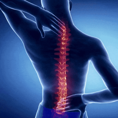 Corrector de Postura Alinnea™